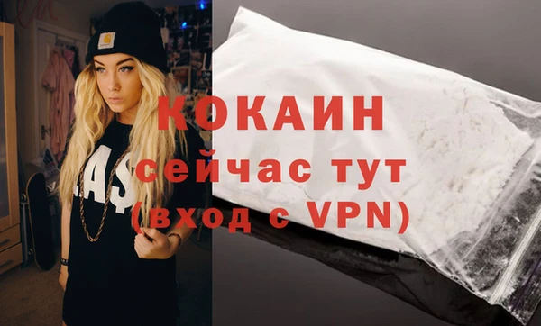 гашик Арсеньев