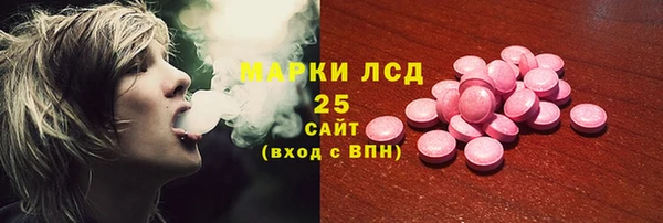 гашик Арсеньев